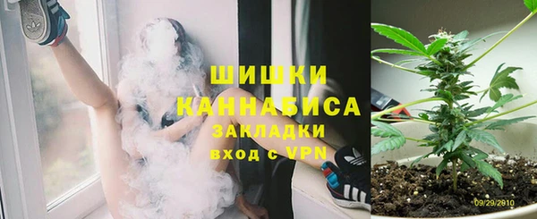 гидра Балахна