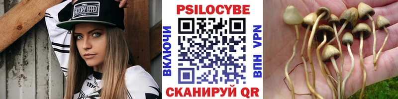 Галлюциногенные грибы GOLDEN TEACHER  купить  цена  mega tor  Кораблино 